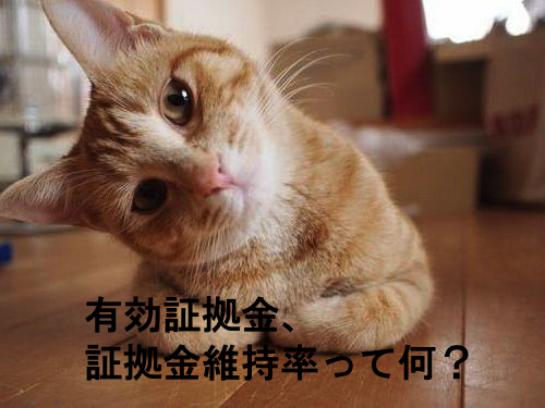 有効証拠金と証拠金維持率.png