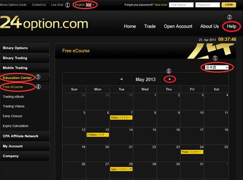 Fx 24 options