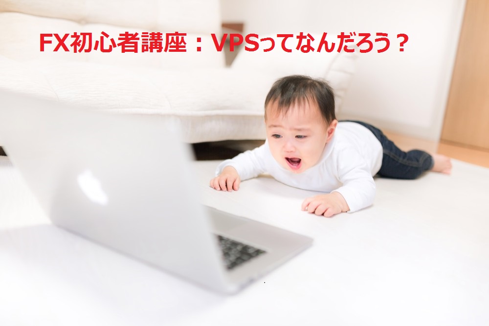 初心者