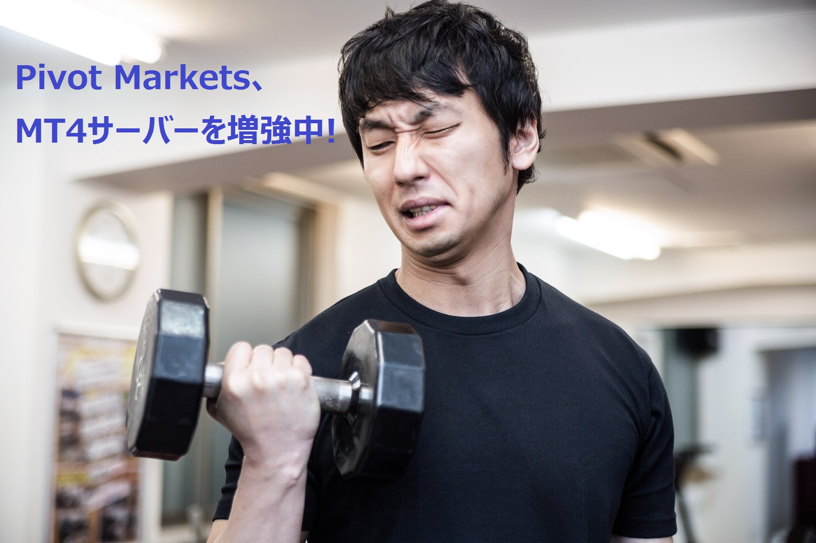 カバー写真