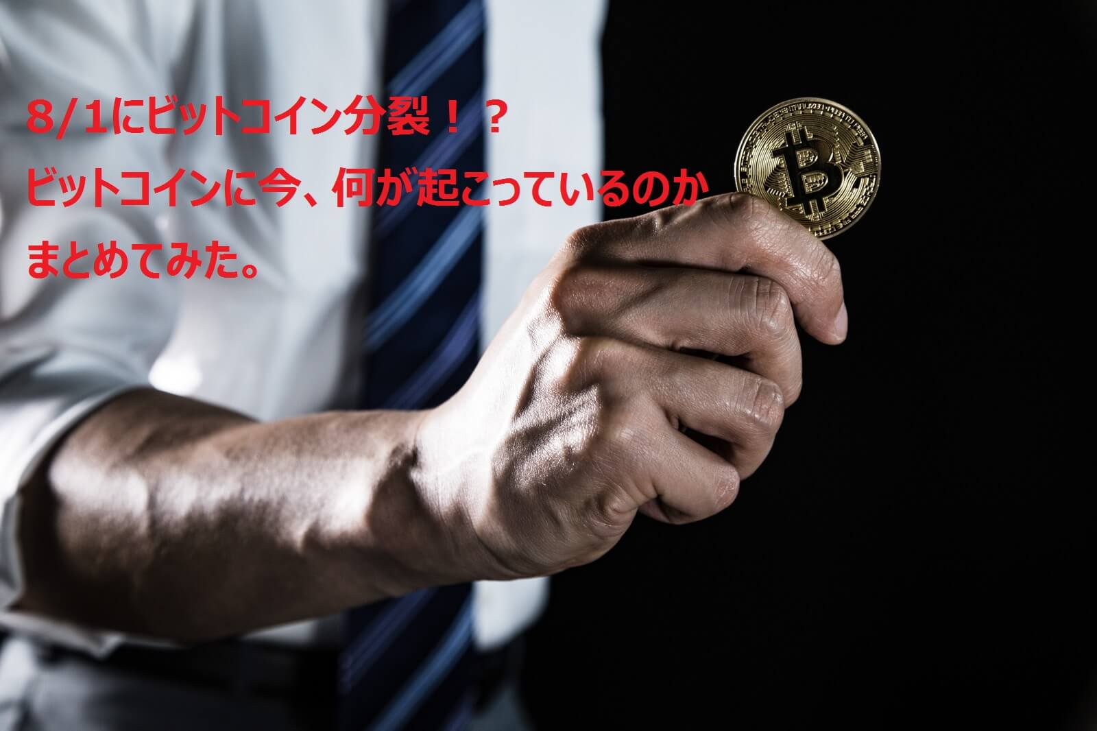海外FXお役立ちガイド