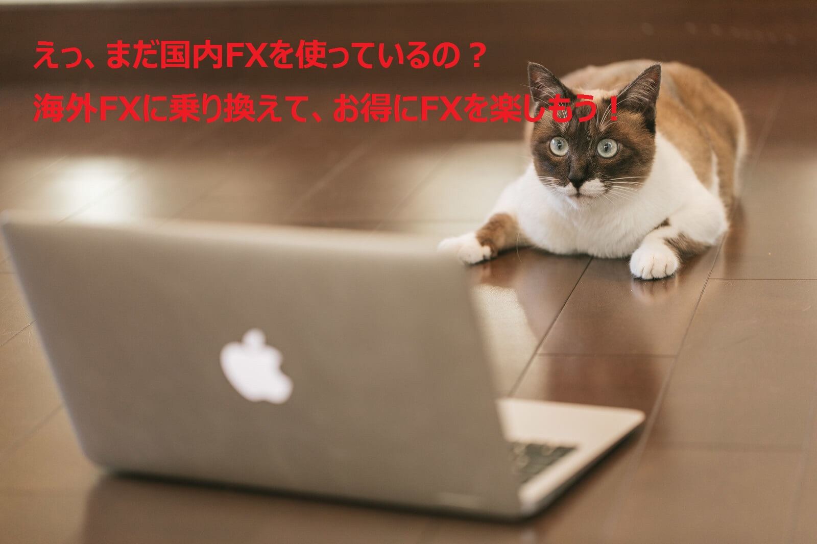 まだ国内FX使って無駄遣いしているの？