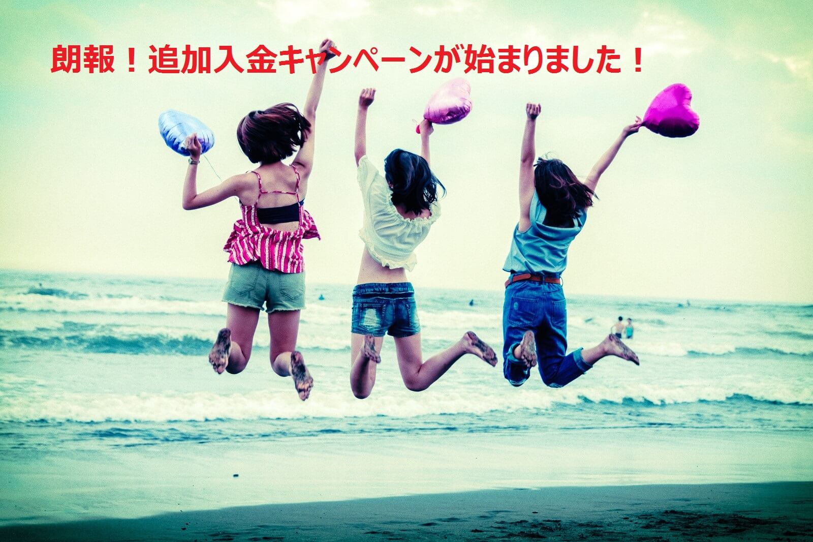 キャンペーン