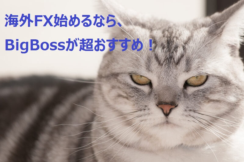 海外FX始めるならまずはBigBossがおすすめ