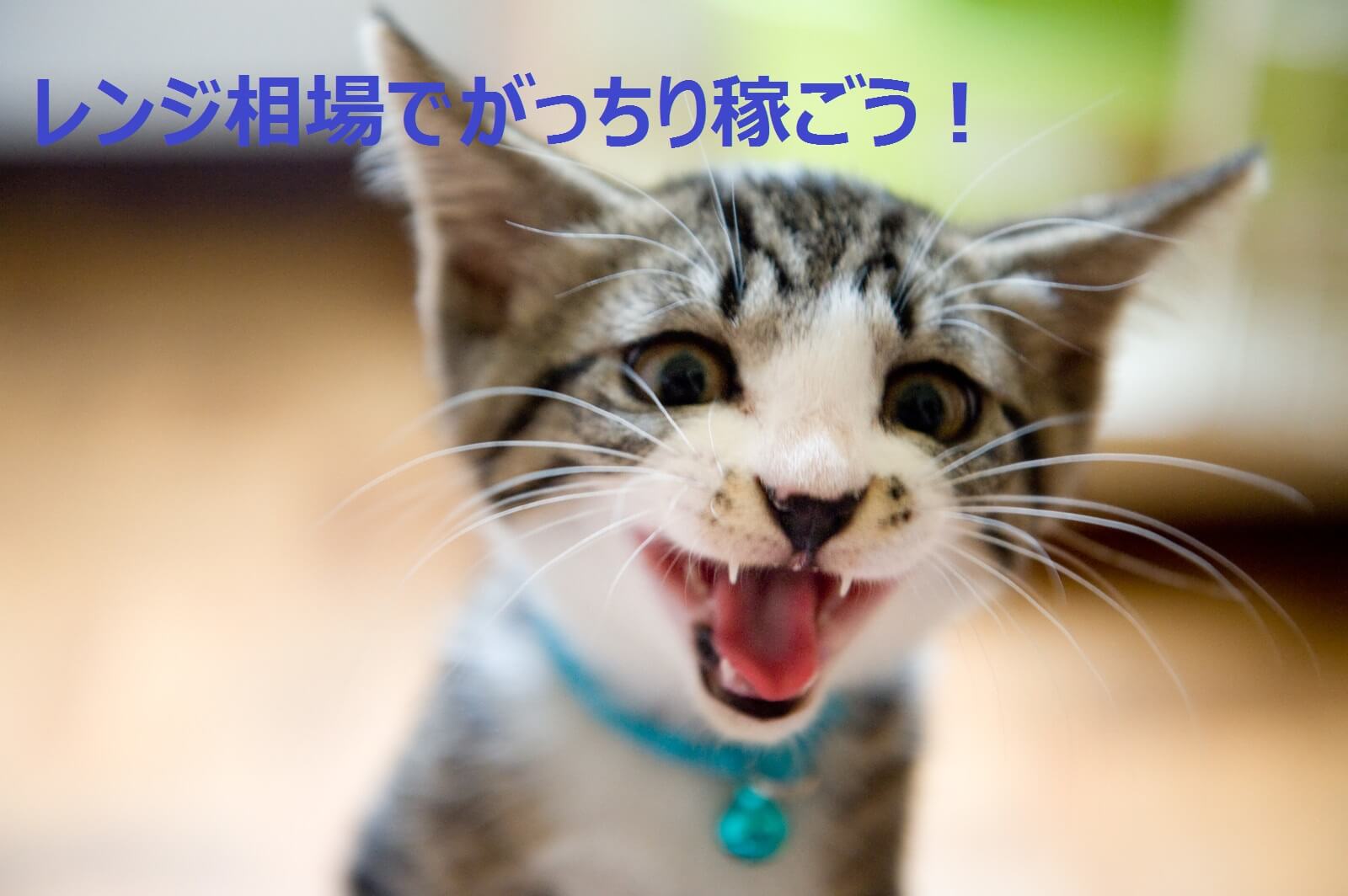 レンジ相場