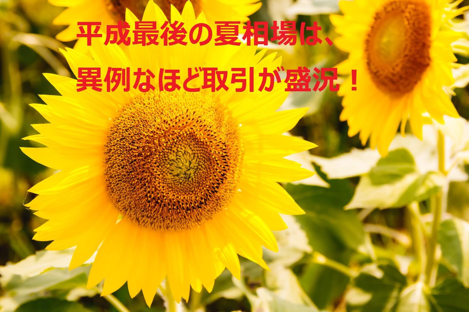 平成最後の夏相場は脱・夏枯れ！