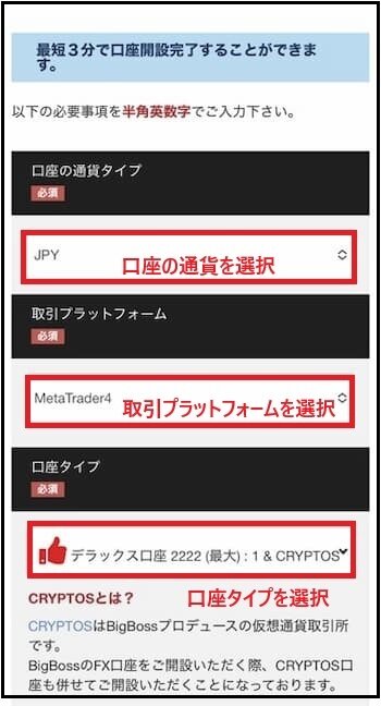BigBoss口座開設フォーム－通貨、プラットフォーム、口座タイプを選択