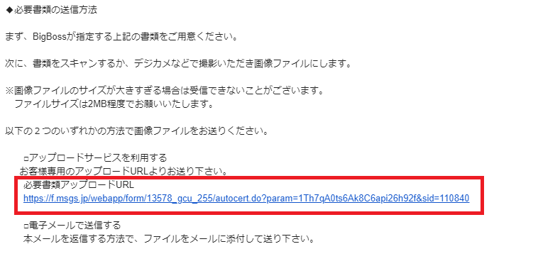 BigBoss 口座開設サポート10