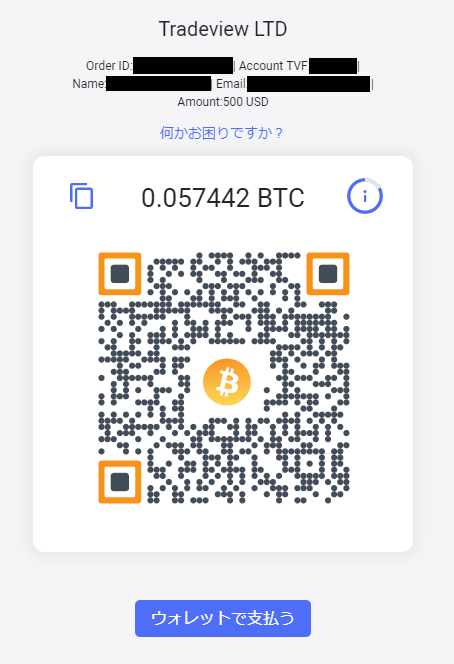 Tradeview ビットコイン入金04