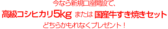 今なら新規口座開設で、もれなく高級コシヒカリまたは国産牛すき焼きセットプレゼント!