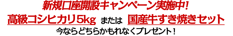 新規口座開設でもれなく高級コシヒカリまたは国産牛すき焼きセットプレゼント！